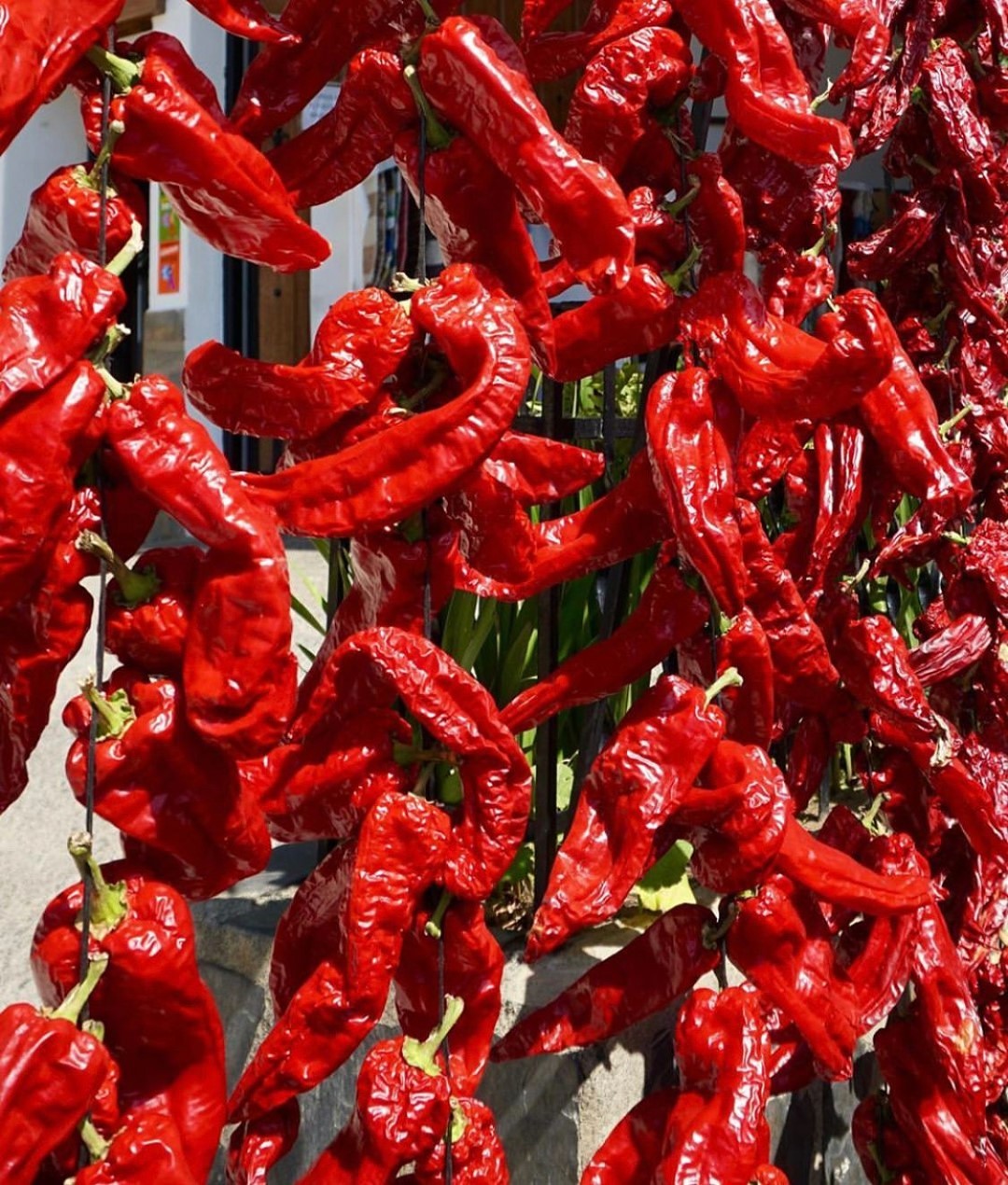 Hot peppers grown in Sierra Nevada, Andulusia, the origin of our pure natural mineral water